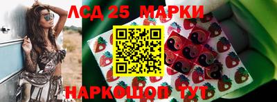 ALPHA PVP Моздок