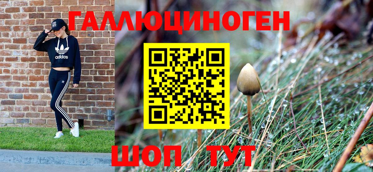Клинцы  Псилоцибиновые грибы Magic Shrooms  магазин продажи наркотиков  Вход с VPN 