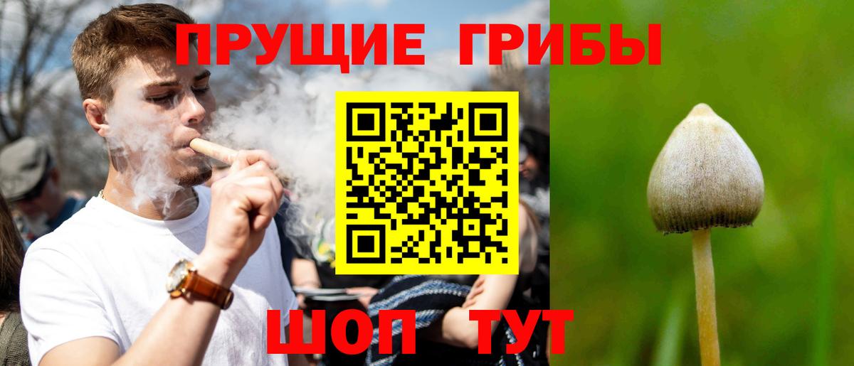 Галлюциногенные грибы Magic Shrooms  Клинцы 